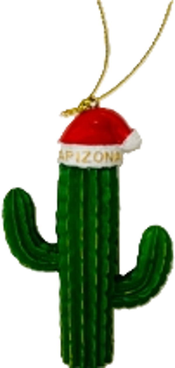 Santa Cactus Ornament OR900