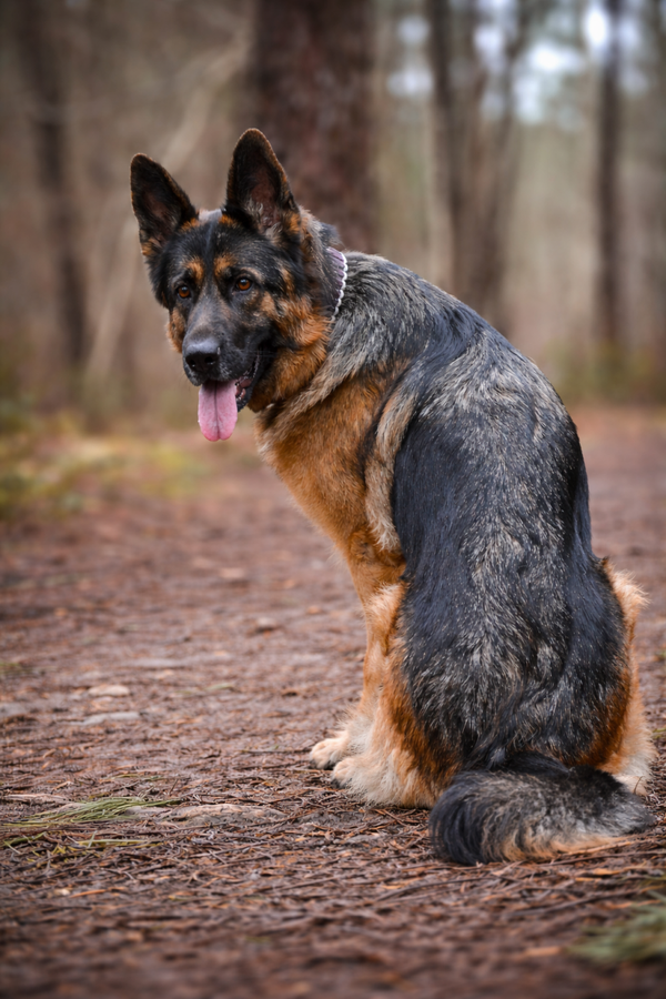 Séance Essentielle 🌸