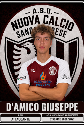 Centrocampista - ASD Nuova Calcio Sandemetrese