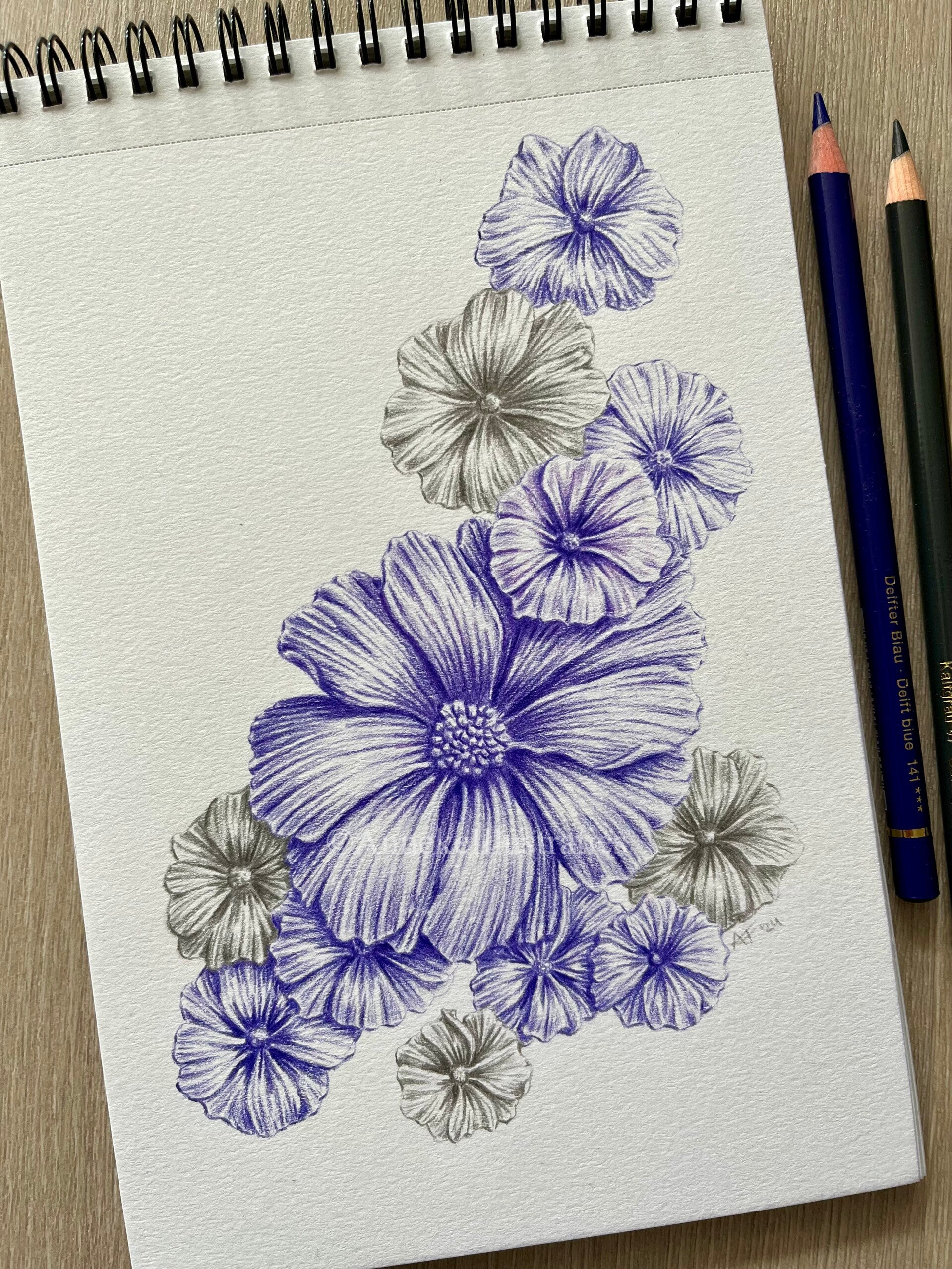 Bloemen getekend op tekenpapier met polychromos potloden in de kleur grijs en blauw. 