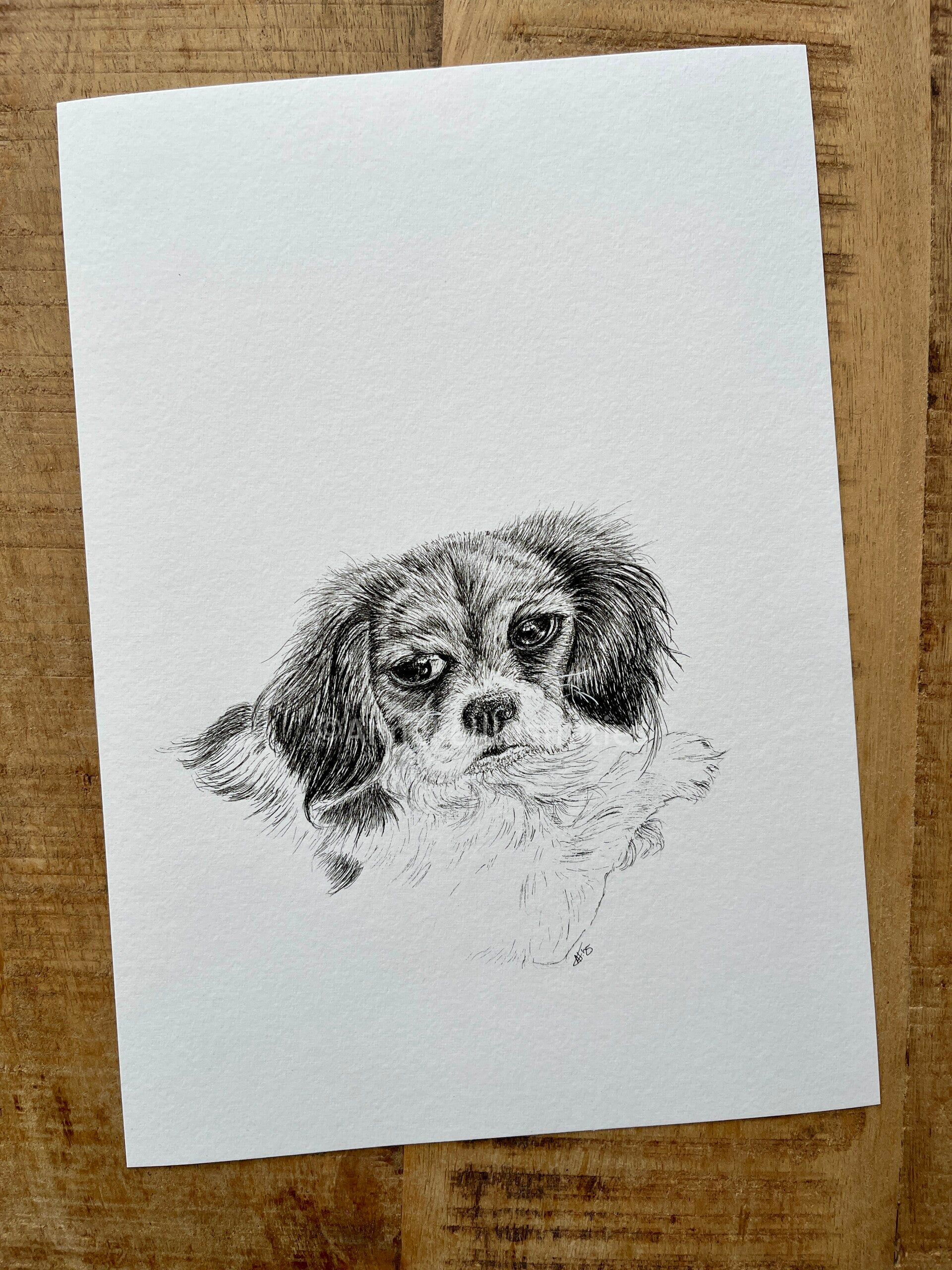 Een zwarte pentekening op A4 formaat van een hond