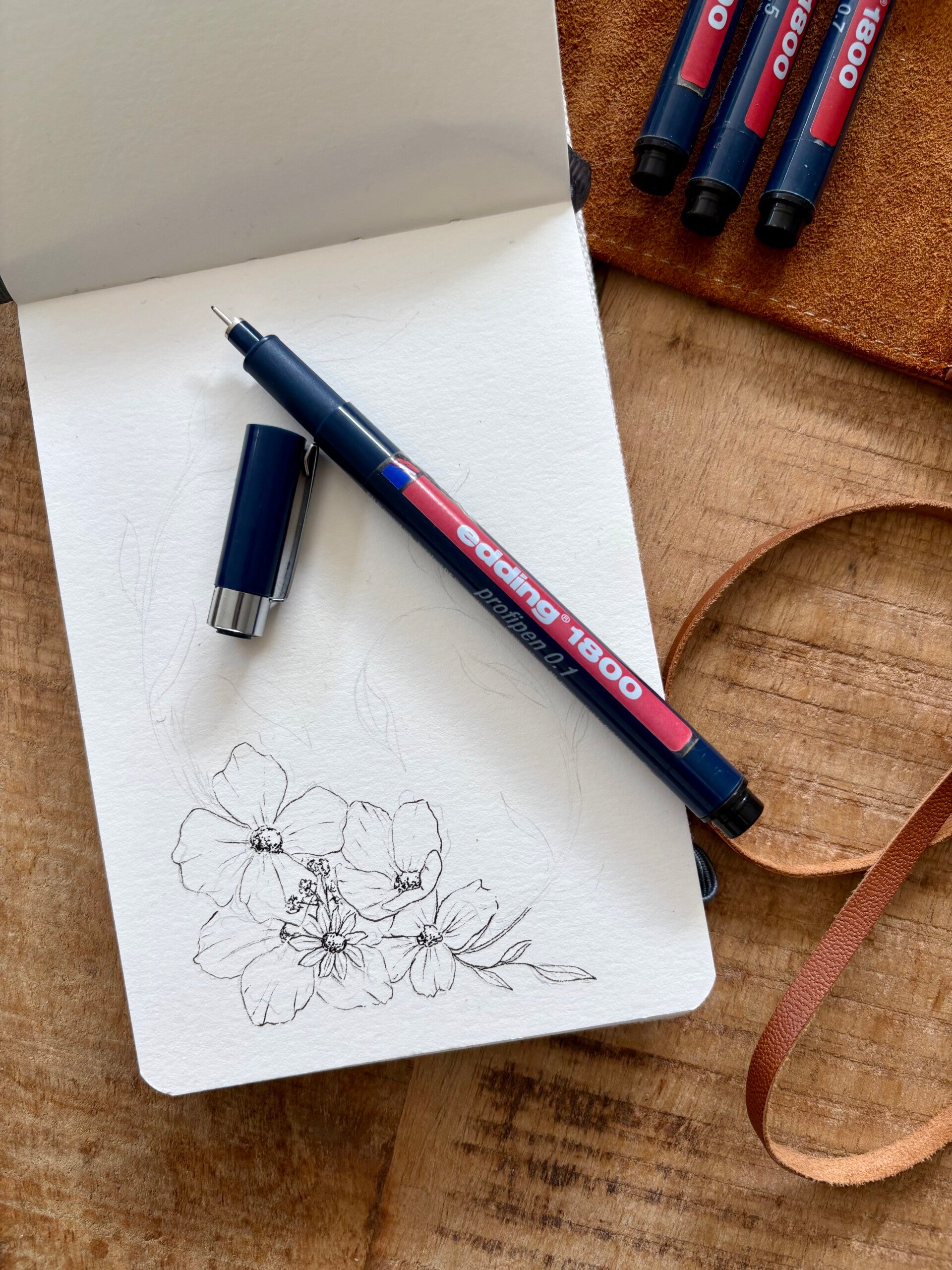 Pentekening in ontwikkeling van bloemen.