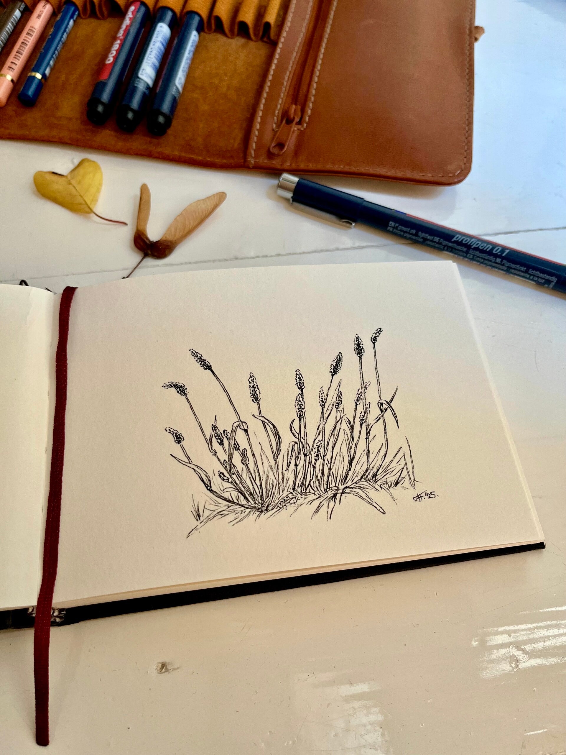 Pentekening in zwart van bloeiend gras in een schetsboek. 