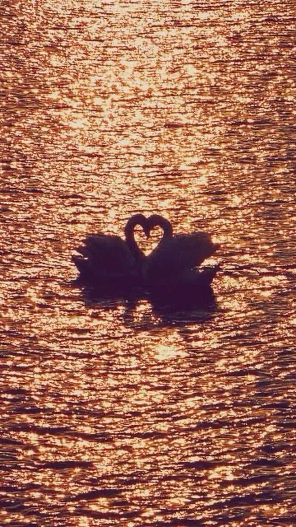 In-depth love tarot reading