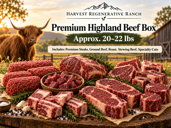Premium Highland Beef Box
