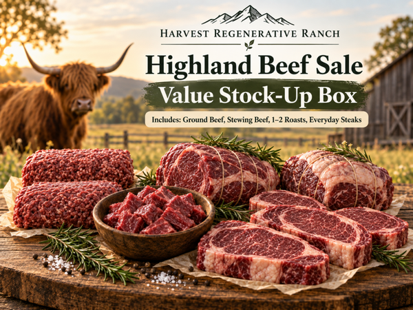 Value Stock-Up Box