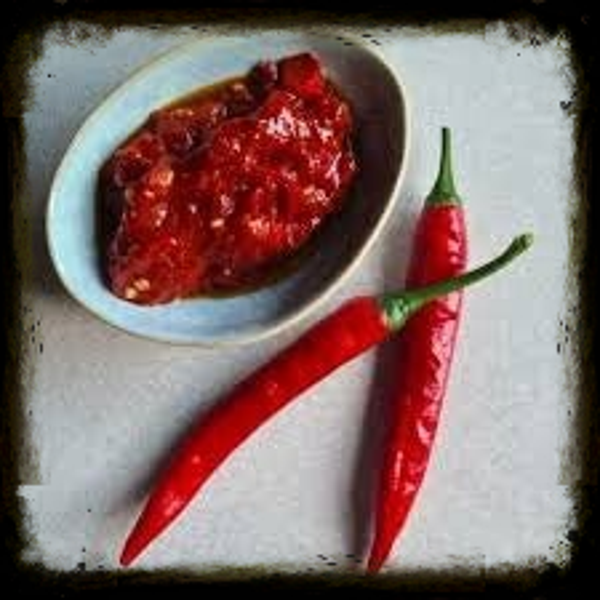 Frische Chilli