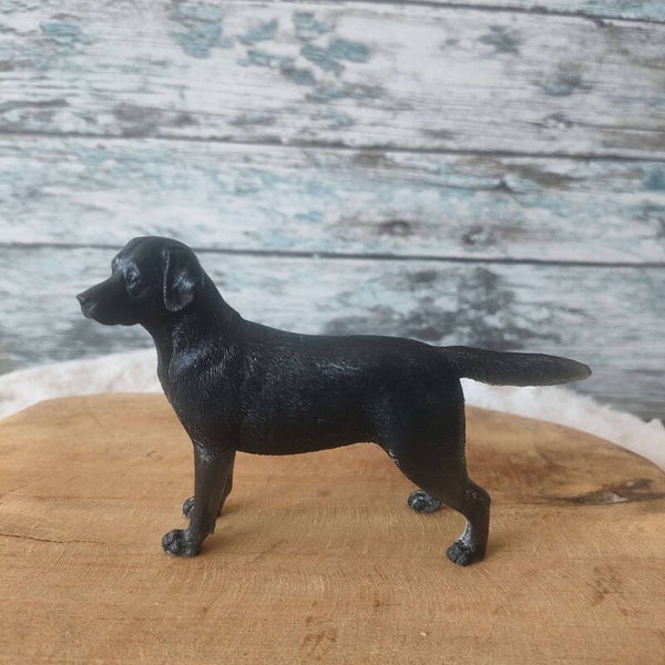 Labrador custom