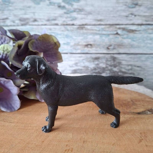 Labrador beeld