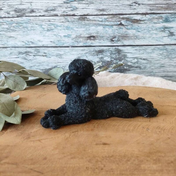 Languit liggende poedel custom