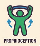Proprioception