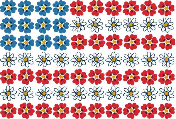 4th of July 7