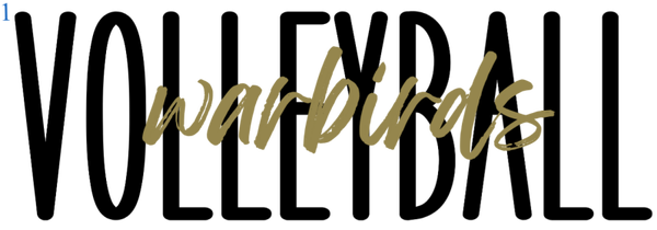 Warbirds Volleyball 5