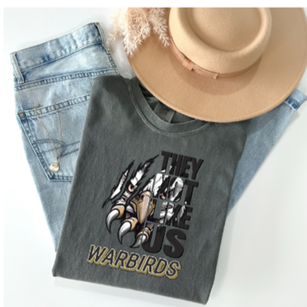 Warbirds They Not Like Us