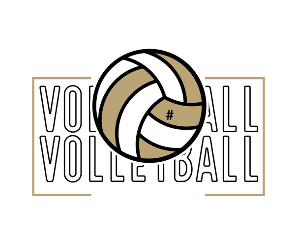 Volleyball 12