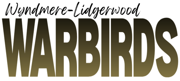 WARBIRDS 10