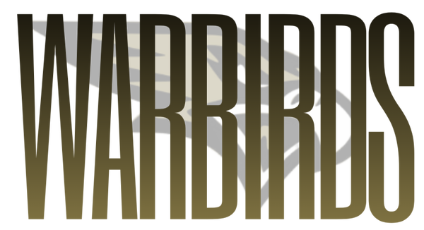 WARBIRDS 11