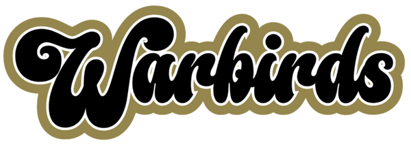 WARBIRDS 14