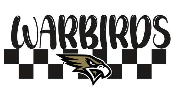 WARBIRDS 16