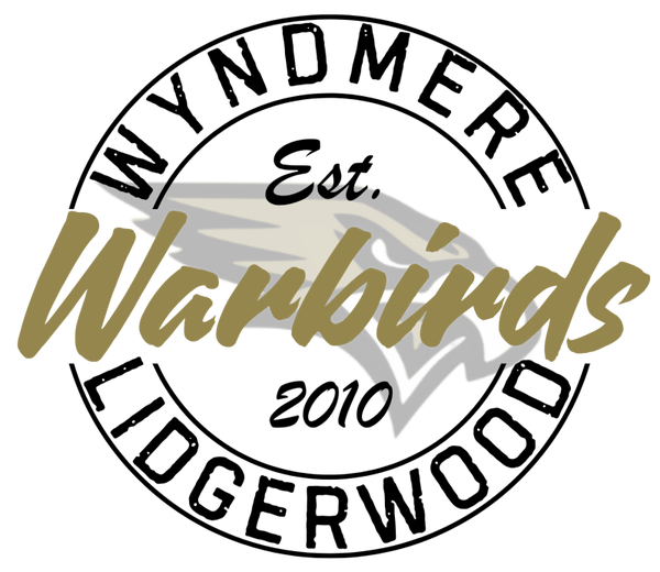 WARBIRDS 19