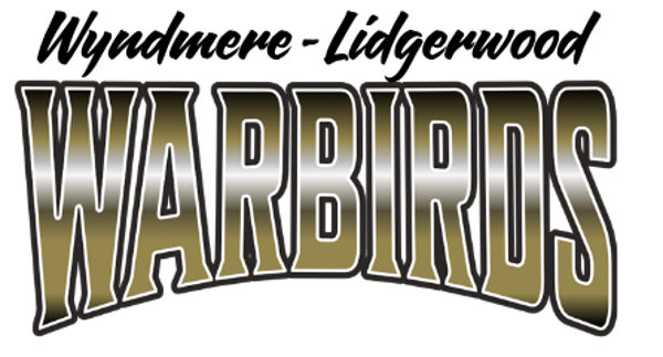 WARBIRDS 22