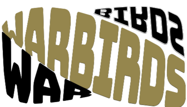 WARBIRDS 23