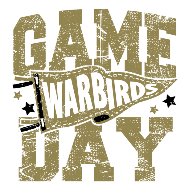 WARBIRDS 4