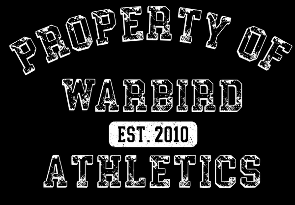 WARBIRDS 8