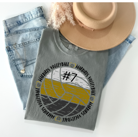 Warbirds Distressed Volleyball