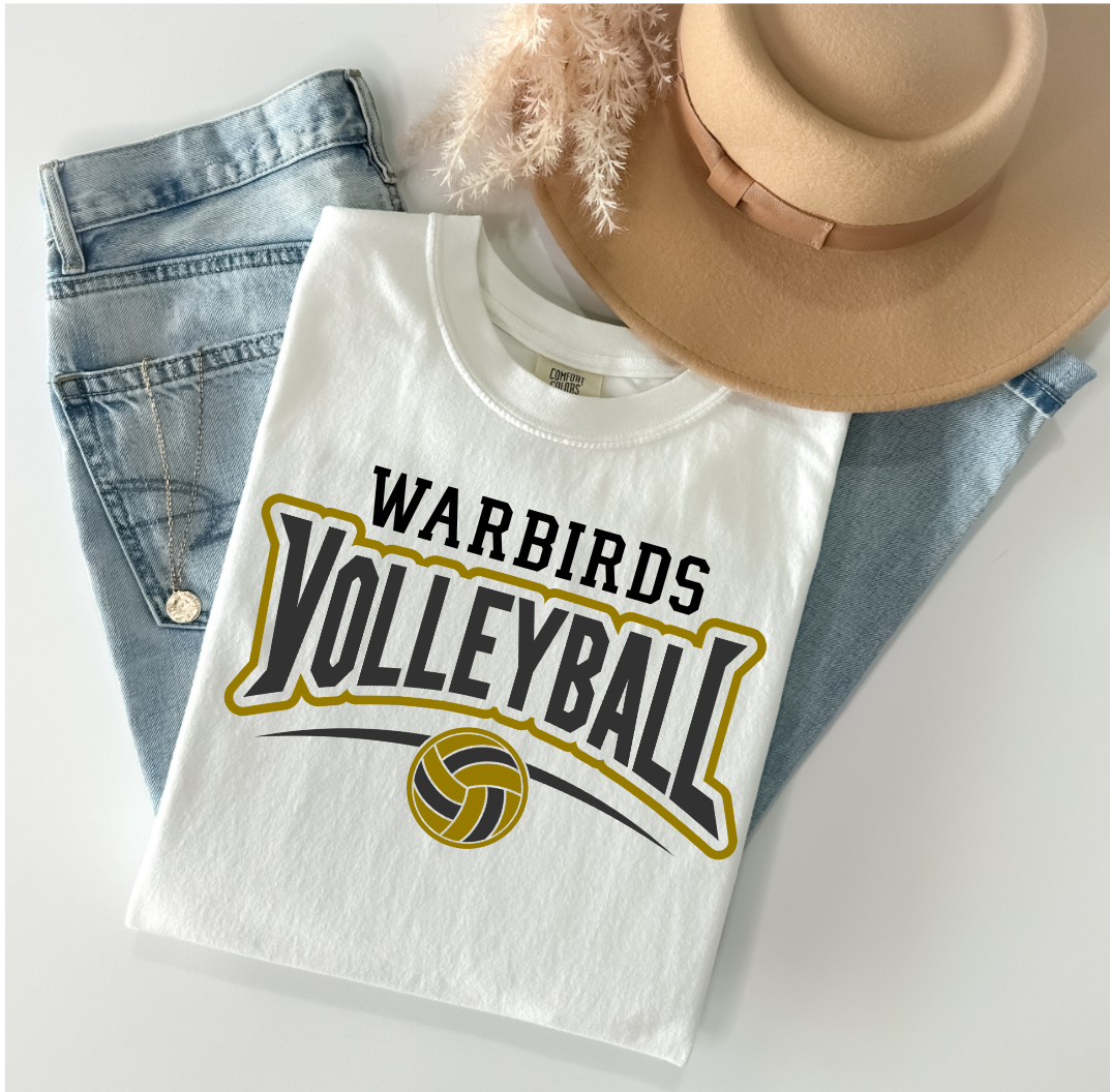 Warbirds Volleyball 2
