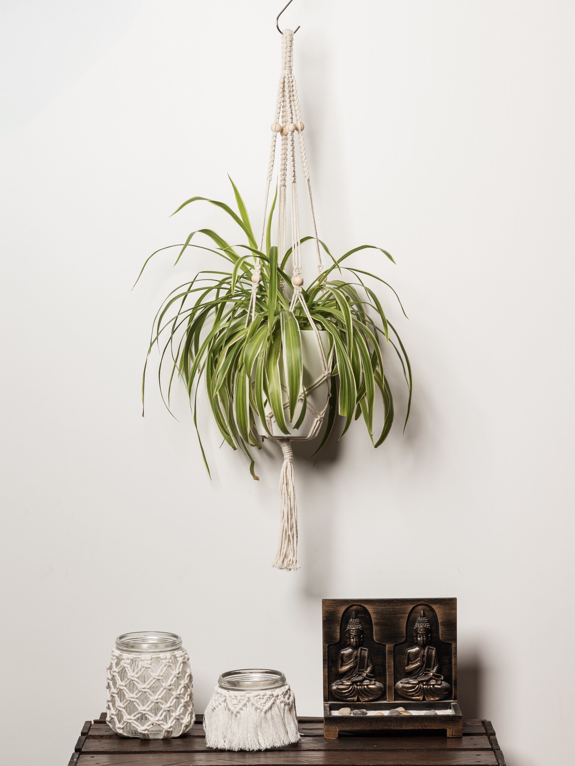 Suspension plante avec perles