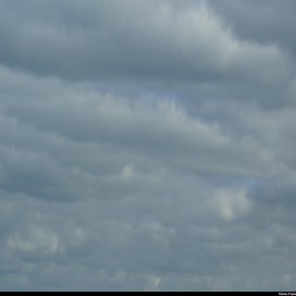 20240318_p1100948.jpg
