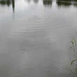 20240701_p1110079-standard.jpg