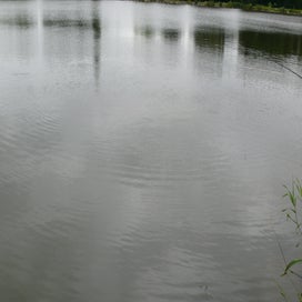 20240701_p1110081-standard.jpg