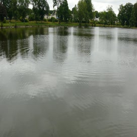 20240701_p1110083-standard.jpg