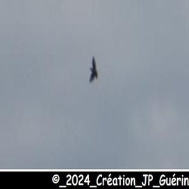 20241018_dsc0380302-standard.jpg