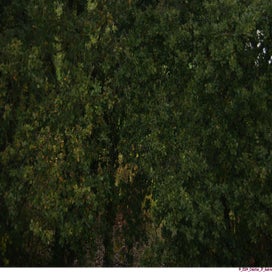 20241102_dsc04064-standard-yp960q.jpg