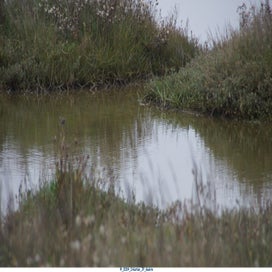 20241108_dsc04129-standard.jpg