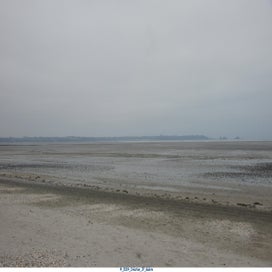 20241108_dsc04131-standard.jpg