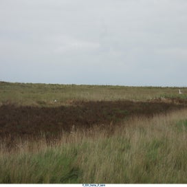 20241110_dsc04184-standard.jpg