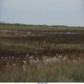 20241110_dsc04192-standard.jpg