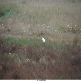 20241110_dsc04227-standard.jpg