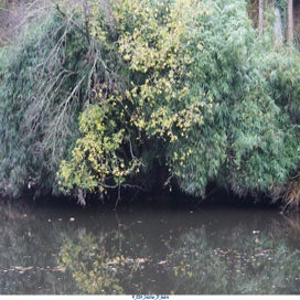 20241111_dsc04246-standard.jpg