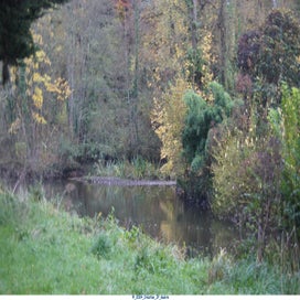 20241111_dsc04262-standard.jpg