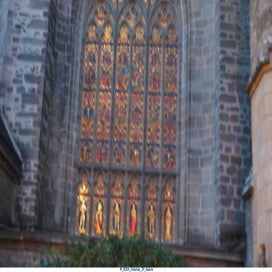 20241111_dsc04316-standard.jpg