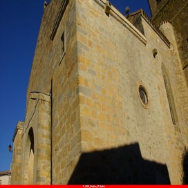20241227_dsc05387-standard-vo9z6n.jpg