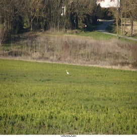 20250203_dsc05946-standard.jpg