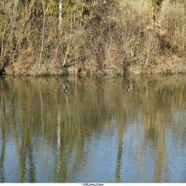 20250203_dsc05957-standard.jpg