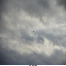 20250211_dsc06039-standard.jpg