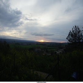 20250323_dsc06575-standard.jpg